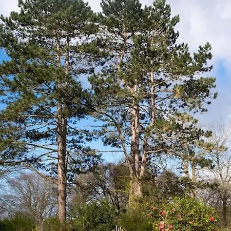 فيلة La Maison Du Haut-bois توكويز