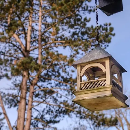 La Maison Du Haut-bois * 图克